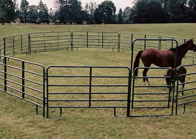 Green powder coated round pipe panels used as pen for horse