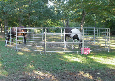 Galvanized round pipe horse corral panels pen for horse